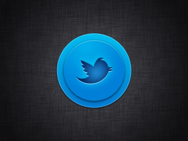 简单干净的推特鸟按钮PSD