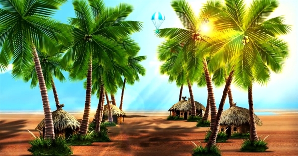 椰子树热带舞蹈背景