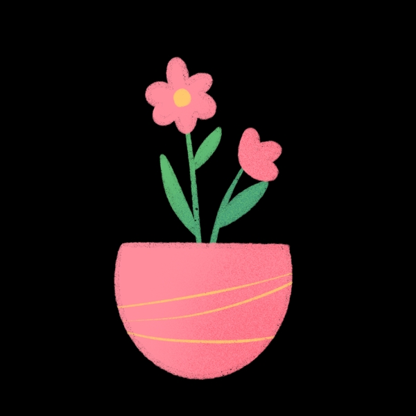 盆栽鲜花粉色