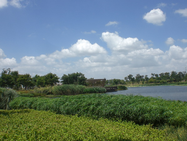 辰山植物园湖畔图片