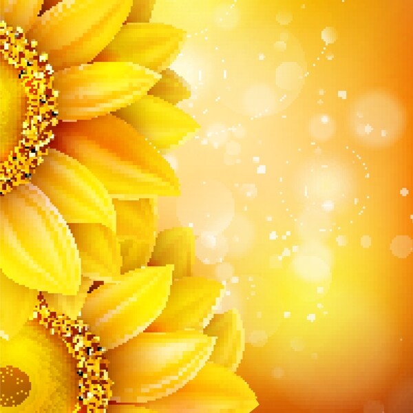 橙色背景向日葵花朵金色纹理素材