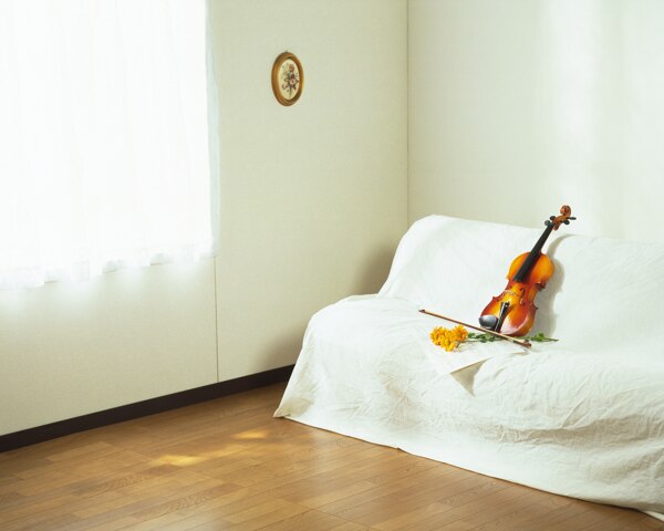 沙发上的小提琴图片