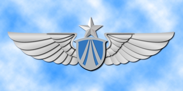 空军胸标图片