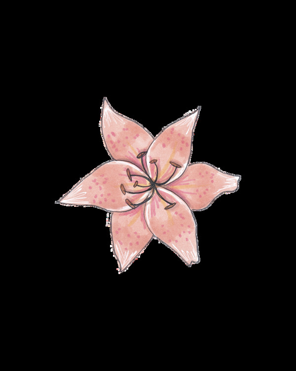 一朵标本花朵png透明素材