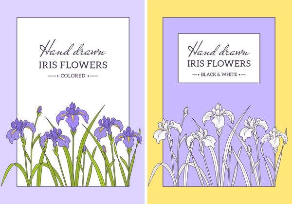 手绘紫色矢量花卉卡片