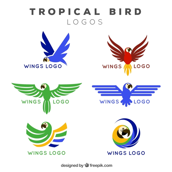 6款彩色热带鸟标志矢量图