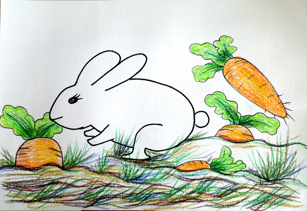 小白兔和胡萝卜