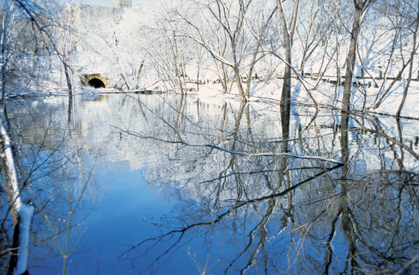 冬天自然风景图片图片