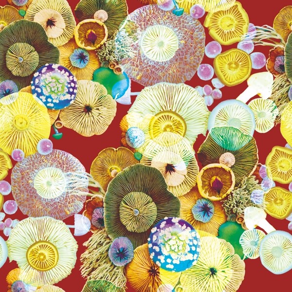 蘑菇背景数码印花服装花