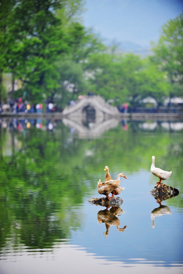 田园风景图片