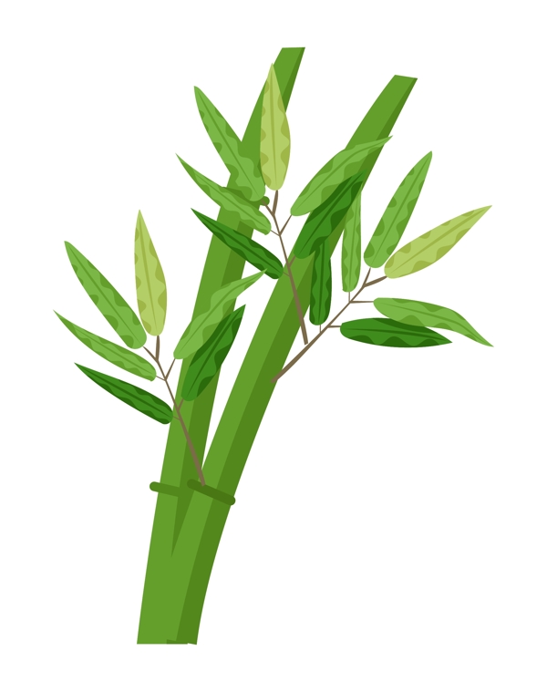 绿色的竹子竹叶插画