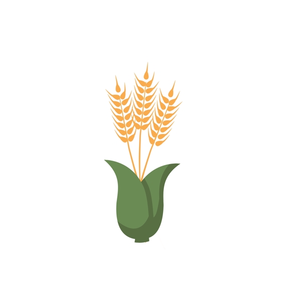 植物小麦粮食天然食物