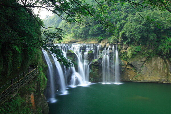 树植物水风景