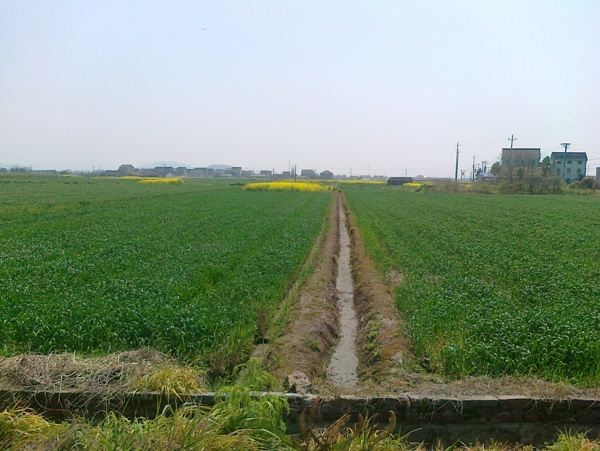 乡间田野图片