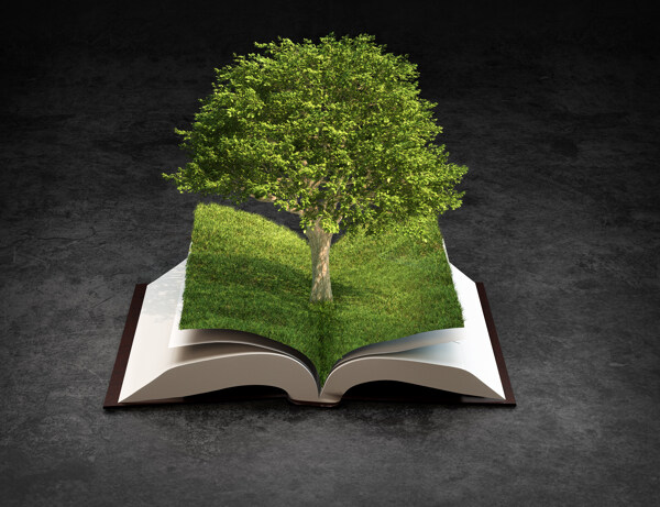 树木与书本