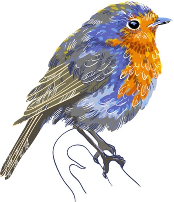 手绘彩绘小鸟鸟类站立彩色绘画装饰画