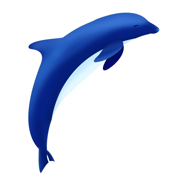 海洋生物蓝色海豚