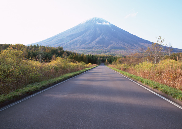 道路景观