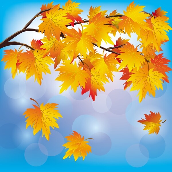 美丽的秋天树叶背景矢量素材05矢量