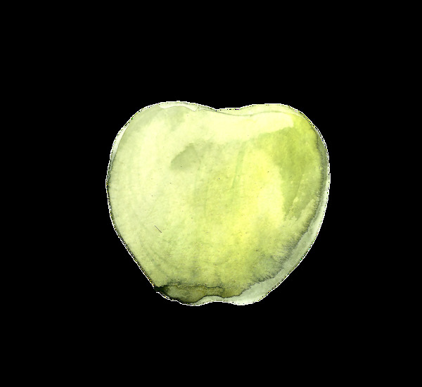 手绘水彩一个苹果png透明素材