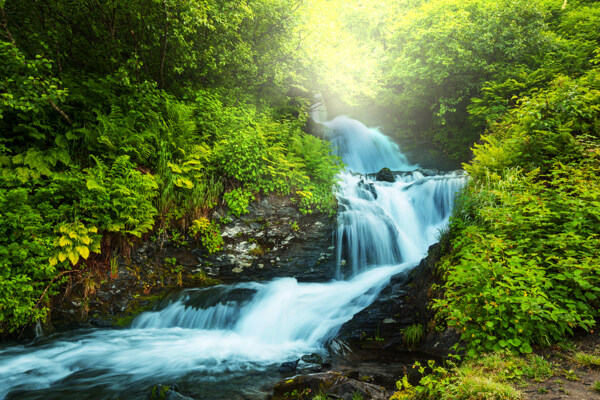 溪水风景