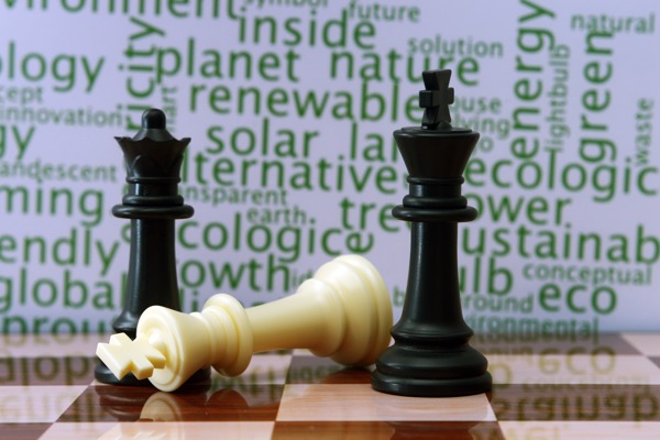 国际象棋和生态的概念