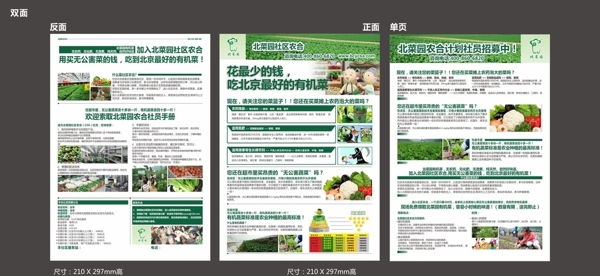 有机蔬菜种植场宣传单图片