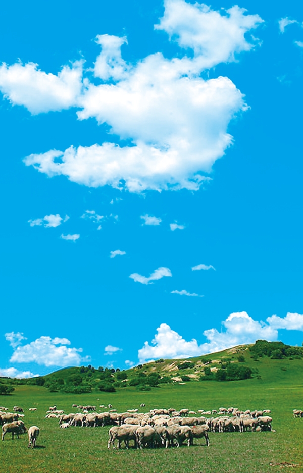 风景
