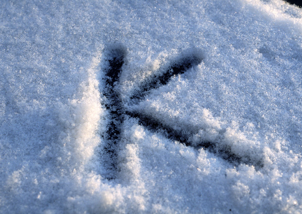 雪地图片