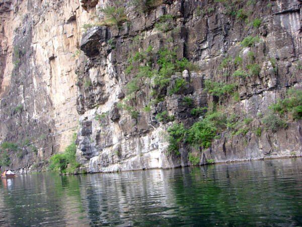 树植物水风景