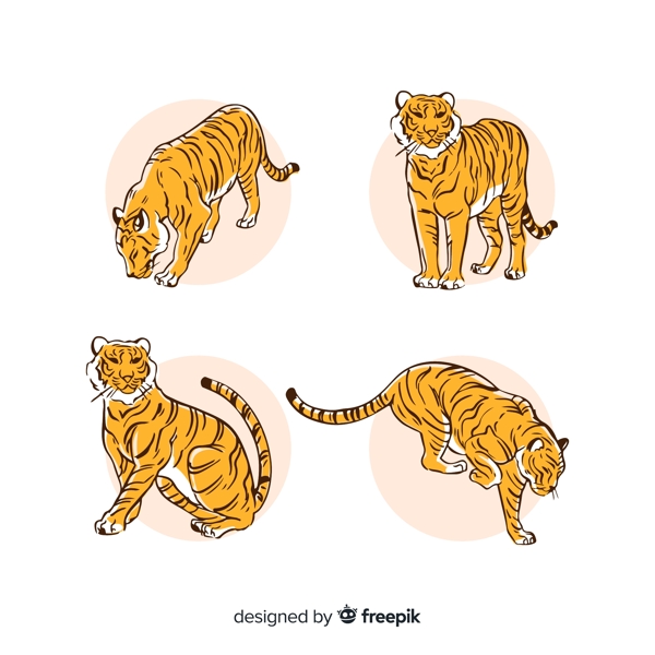 4款手绘老虎设计矢量素材