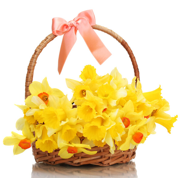 礼物篮里的黄色花朵图片