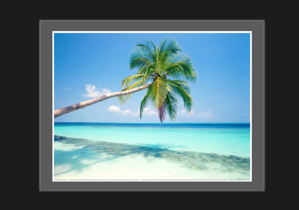 自然美景沙滩风景树图片