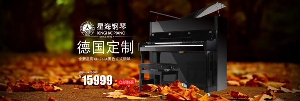秋天钢琴首页海报