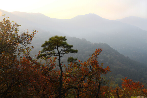 香山图片