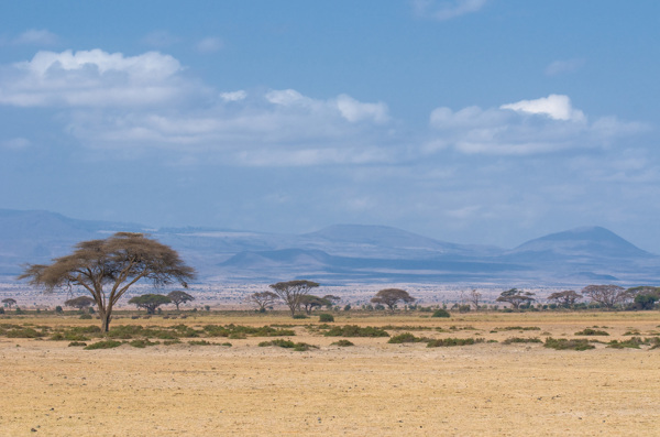 非洲草原美景摄影