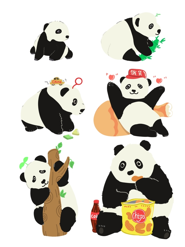 原创可爱动物生长成长熊猫国宝插画素材