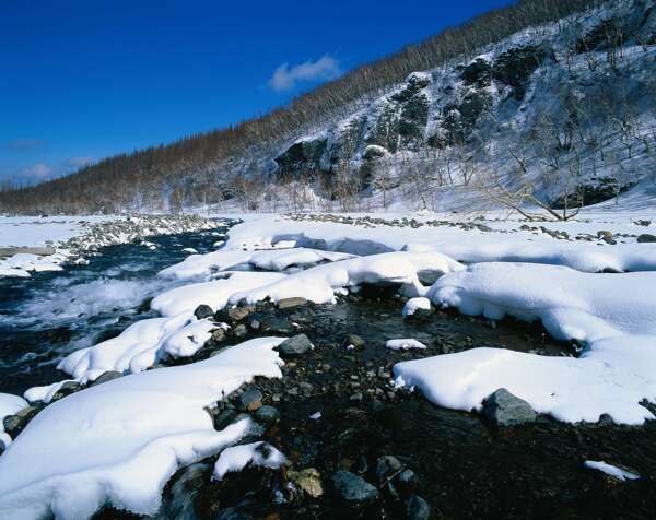 冬日雪景