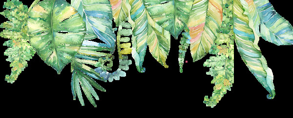 彩绘绿色热带叶子png元素