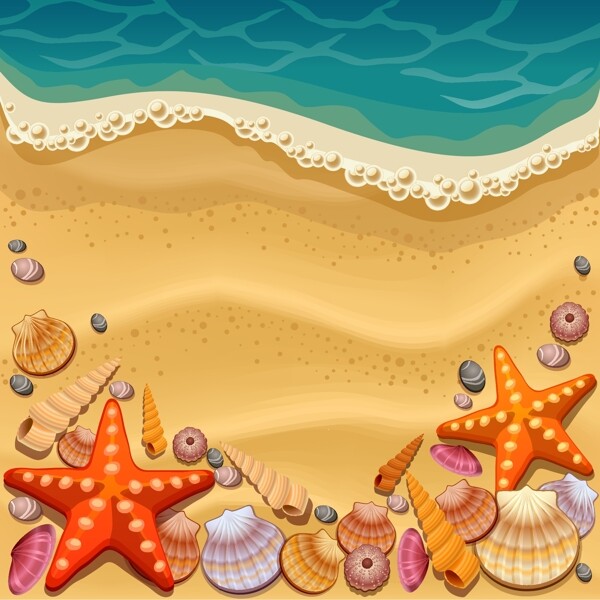 大海沙滩和贝壳插画