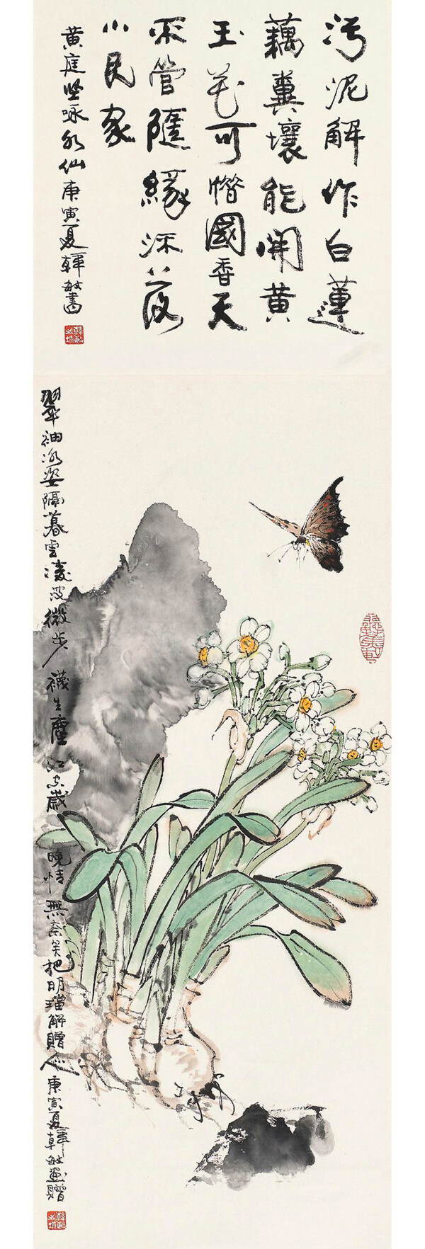 水仙蝴蝶图片
