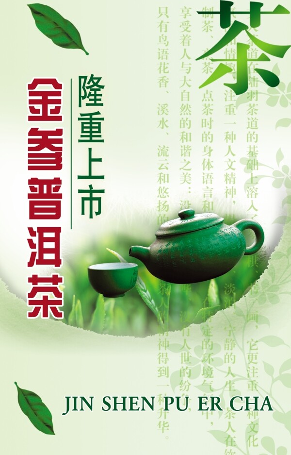 金参普洱茶图片