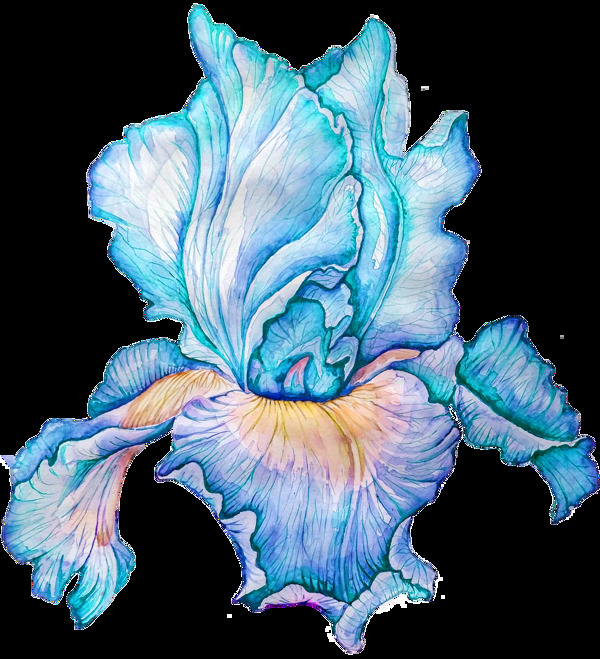 蓝色绽放花卉透明素材