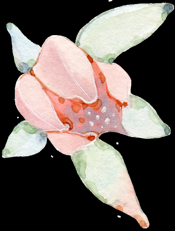 粉色花卉透明装饰图案