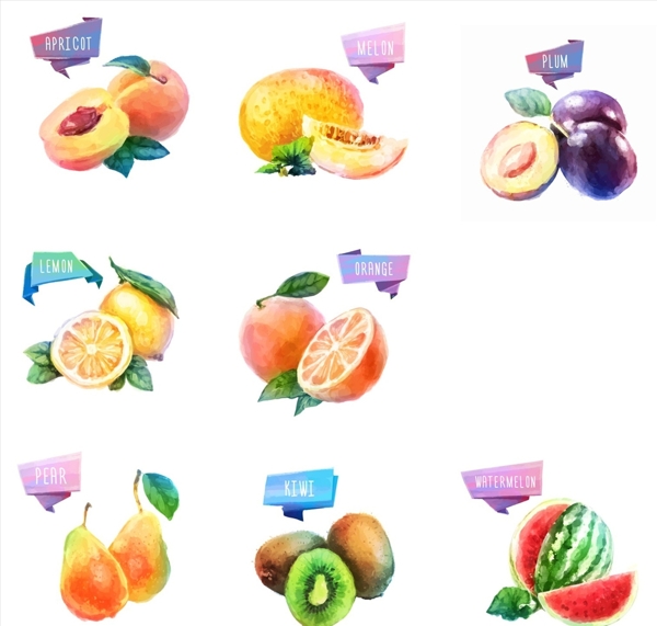 水彩水果