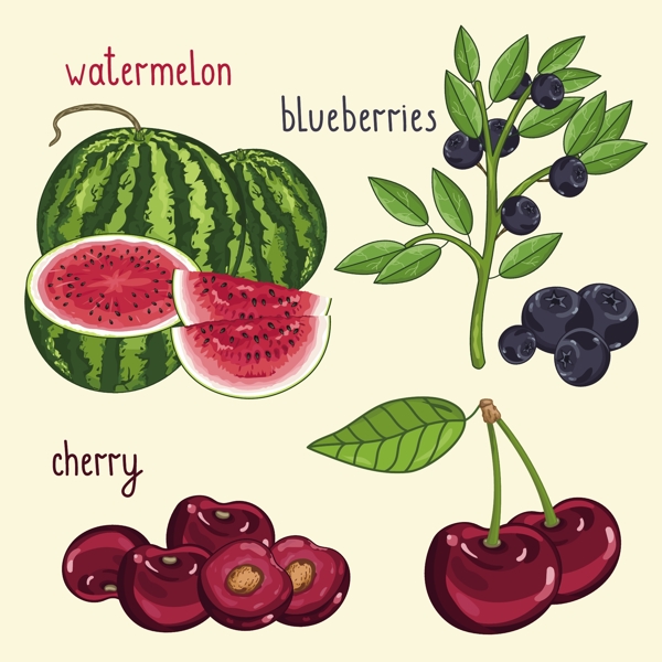 水果蓝莓西瓜樱桃彩绘矢量图