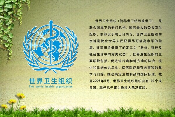 世界卫生组织展板图片