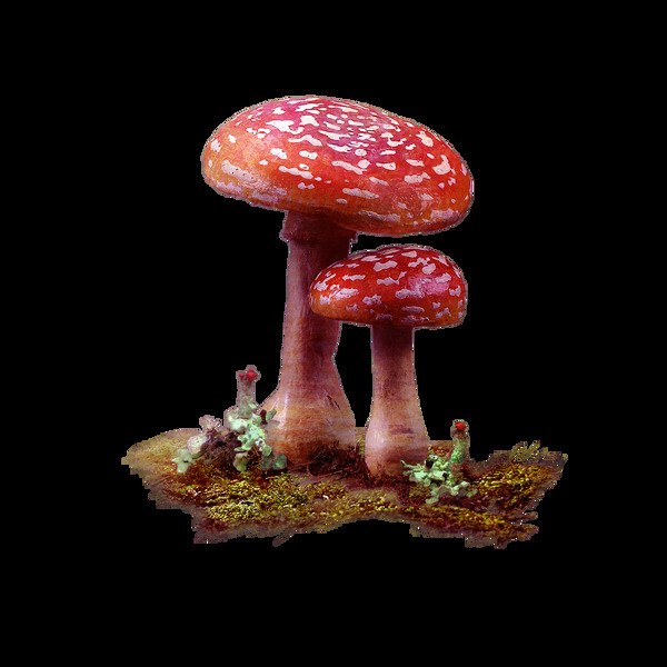 彩色蘑菇元素