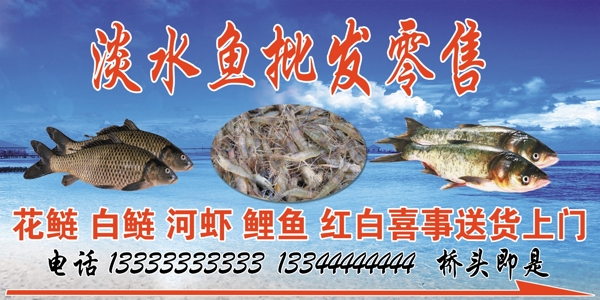 鱼淡水鱼虾河鱼