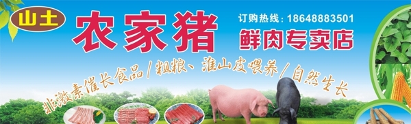 农家猪肉图片